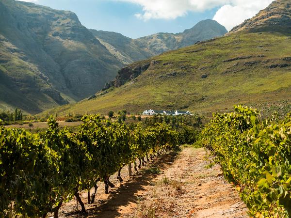 South Africa honeymoon holiday