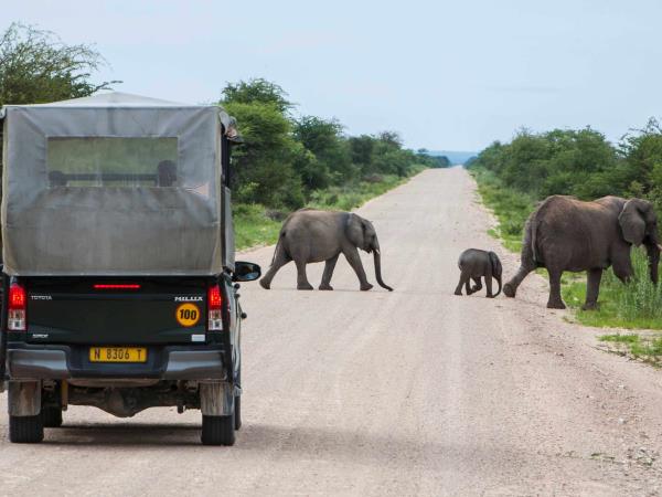 Privately guided Namibia holiday