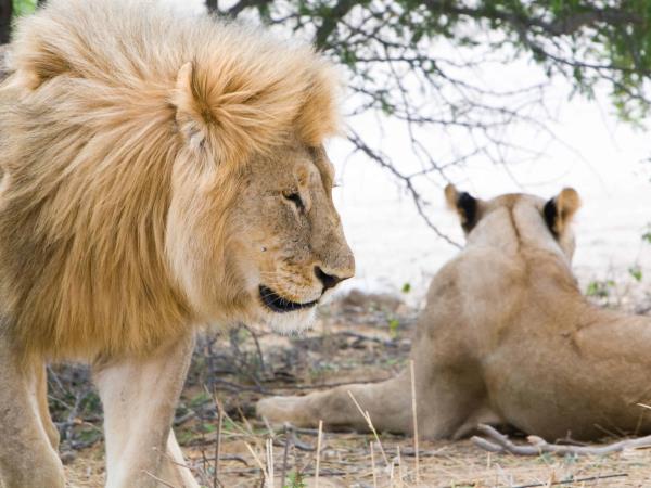 Privately guided Namibia holiday
