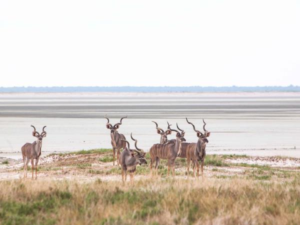 Privately guided Namibia holiday