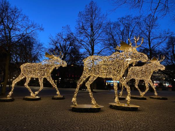 Christmas markets holiday in Sweden