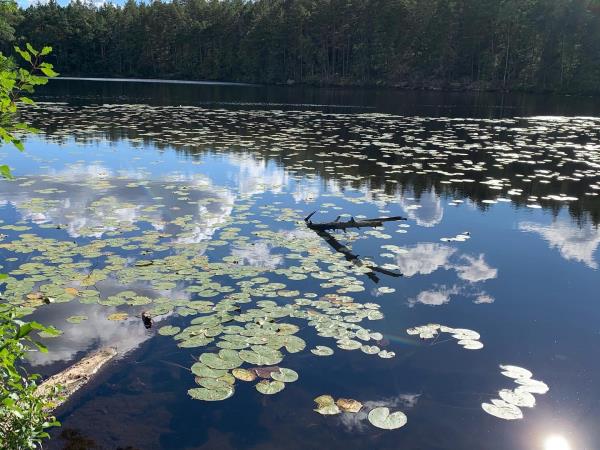 Sweden holidays, self guided canoeing