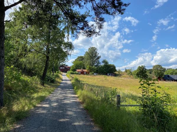 Sweden walking holiday, self guided