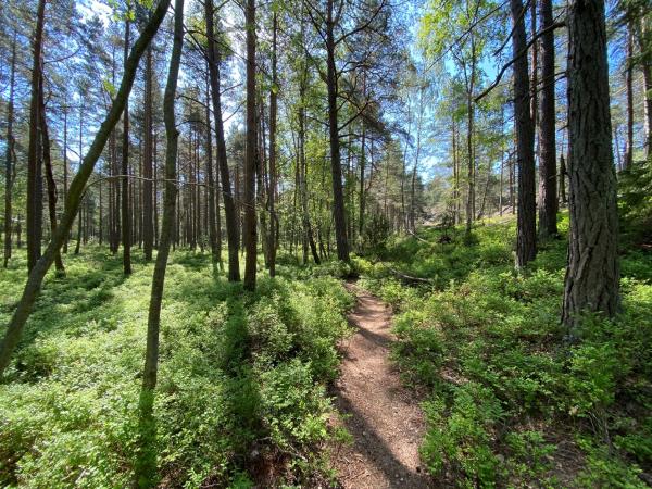 Stockholm hiking holiday