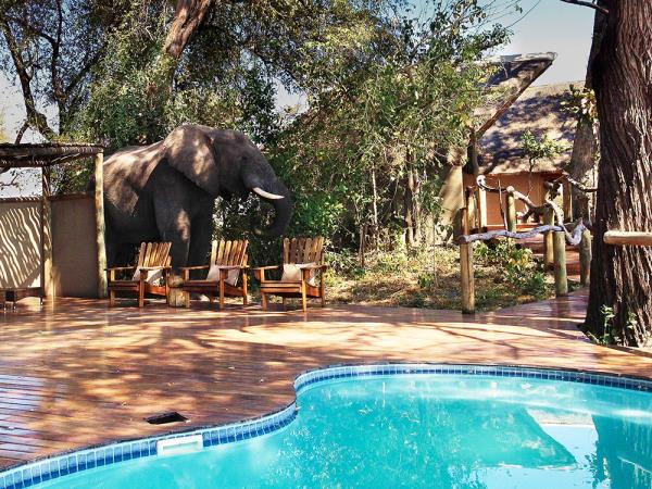 Botswana safari and Mozambique beach break