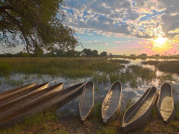 Okavango Delta and Victoria Falls luxury holiday