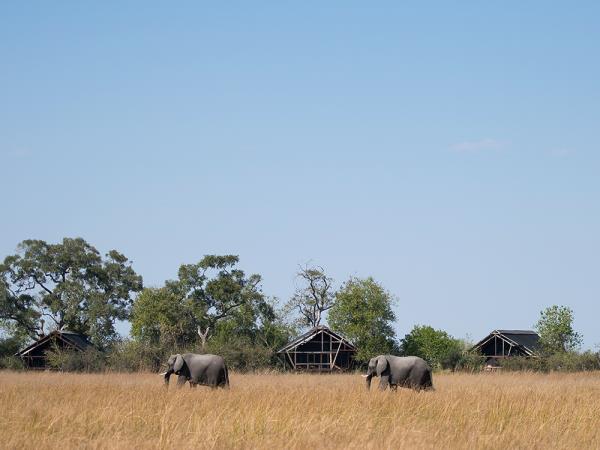 Okavango Delta and Victoria Falls luxury holiday