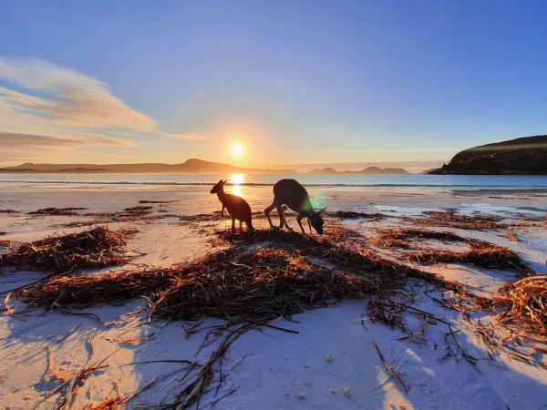 Western Australia wellness and yoga retreat