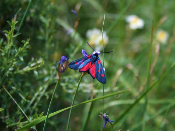 Wellness and yoga holidays in the Pyrenees