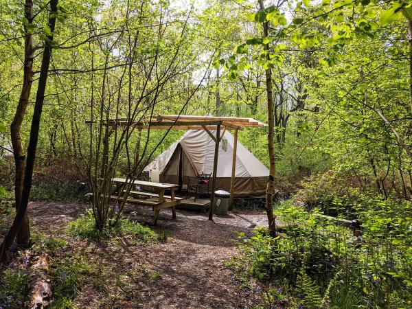 High Weald eco forest camping, England