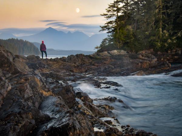 Swanson Island kayaking & glamping tour