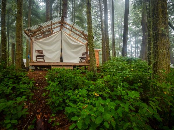 Swanson Island kayaking & glamping tour