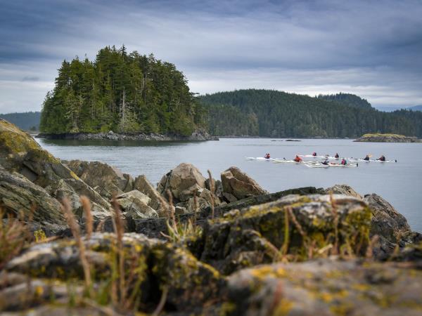Swanson Island kayaking & glamping tour