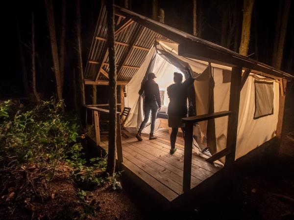 Swanson Island kayaking & glamping tour