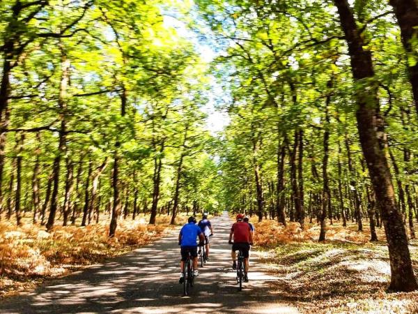 Cycling holiday in Greece, Peloponnese and Delphi