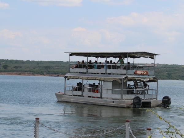 Uganda ultimate primate safari