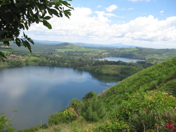 Uganda ultimate primate safari