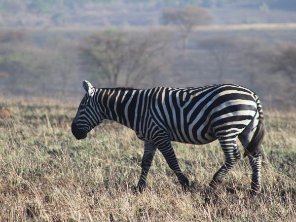 2 weeks in Uganda holiday