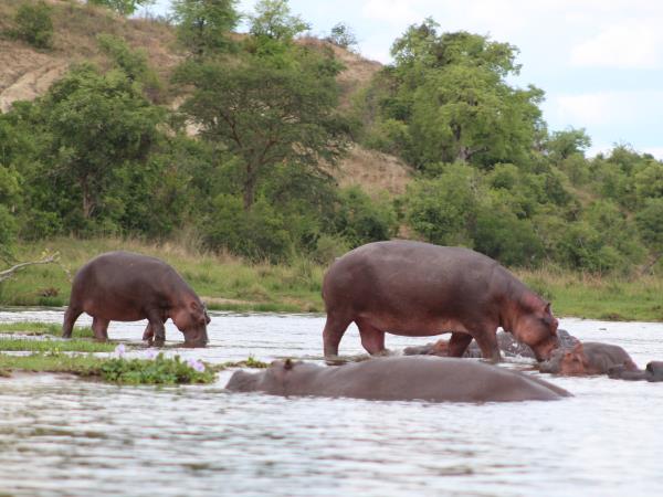 2 weeks in Uganda holiday