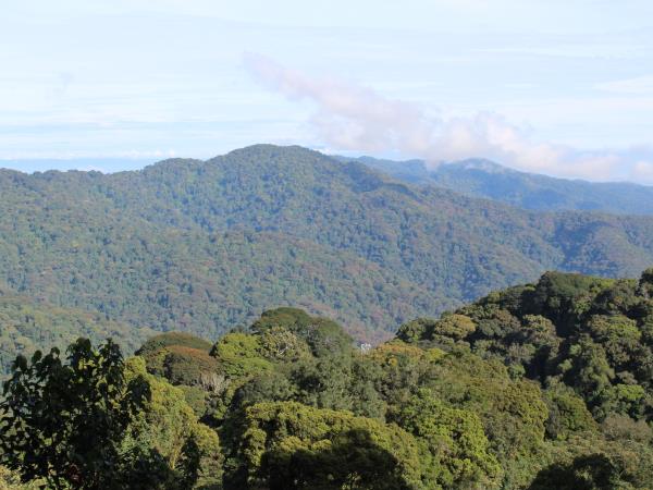 Rwanda wildlife safari