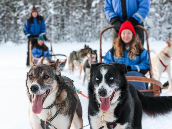 Swedish Lapland family holiday