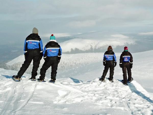 Swedish Lapland family holiday