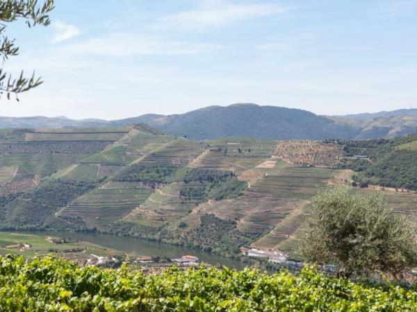 Portugal self drive holiday, Porto to Lisbon
