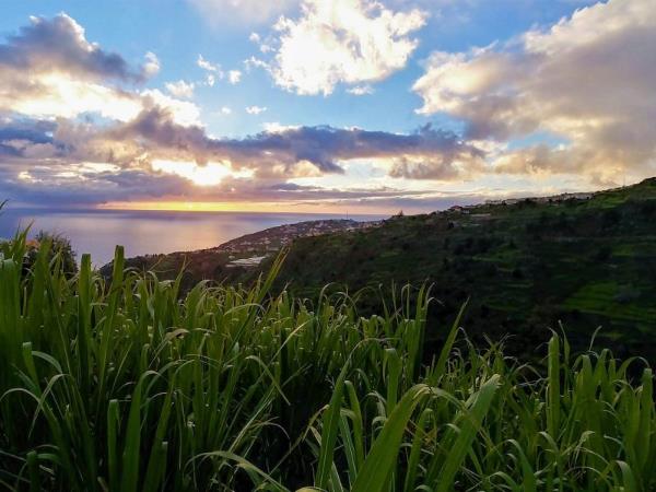 Madeira self drive holiday