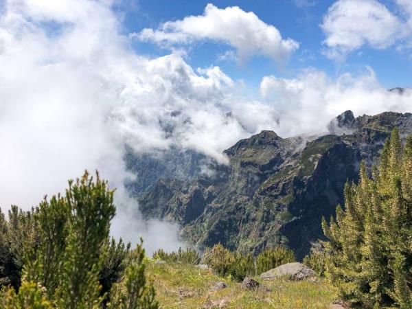 Madeira self drive holiday
