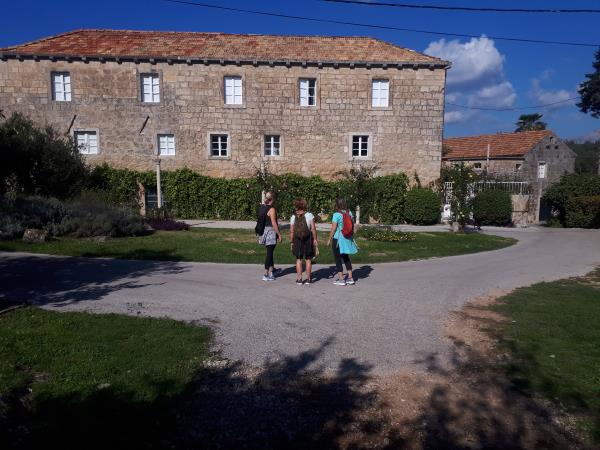 Walking and wine tasting holiday in Dubrovnik, Croatia