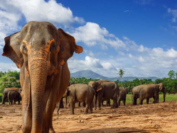 Walking in Sri Lanka holiday