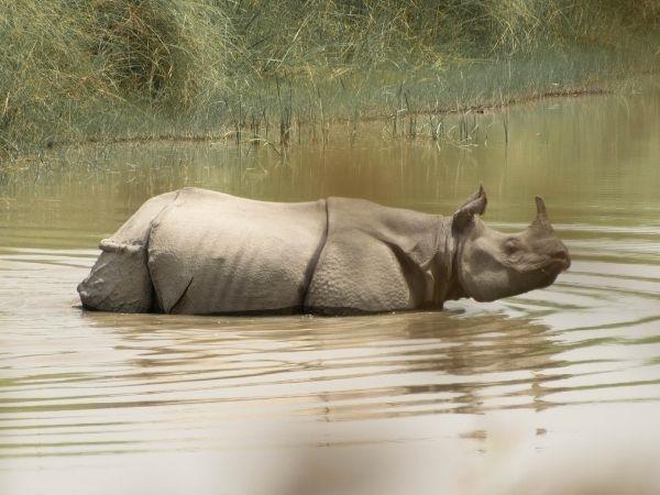 Nepal homestay holiday in Bardiya National Park