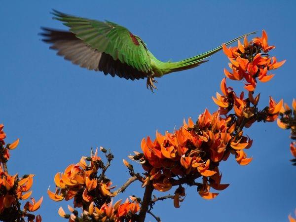 Nepal homestay holiday in Bardiya National Park