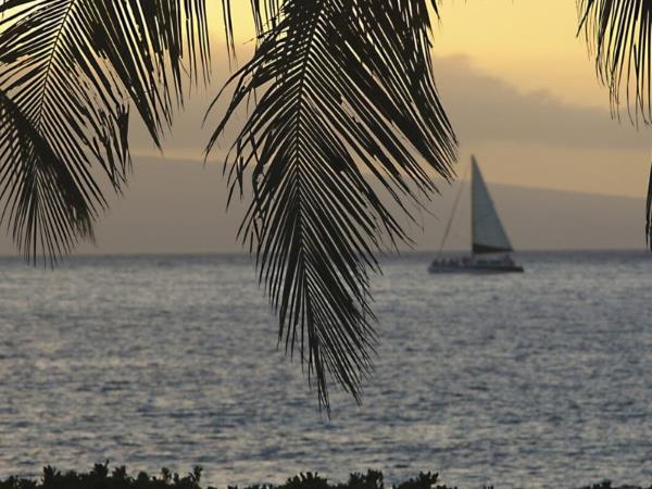 Hawaii self drive tour