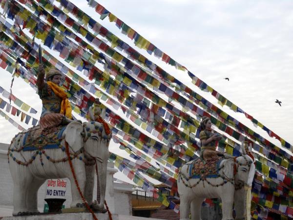 Nepal red panda tour and Chitwan safari