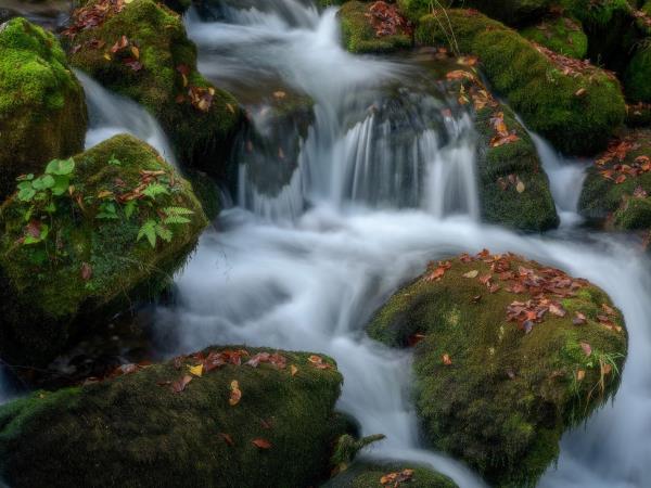 Slovenia photography holiday