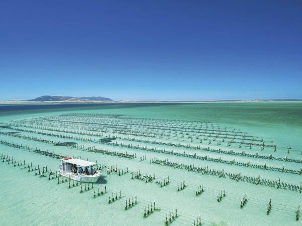 Eyre Peninsula in 5 days, tailor made
