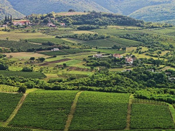 Istria activity holiday in Croatia