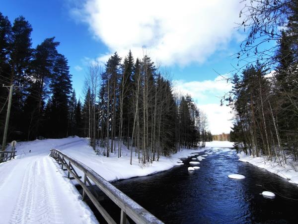Finland wilderness cabin and activities holiday
