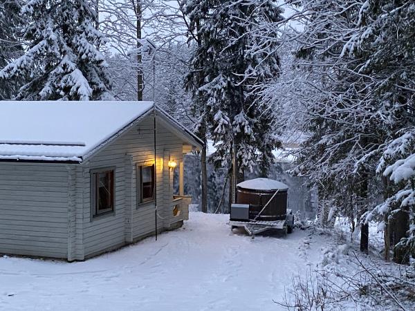 Finland wilderness cabin and activities holiday