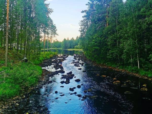 Finland wilderness cabin and activities holiday