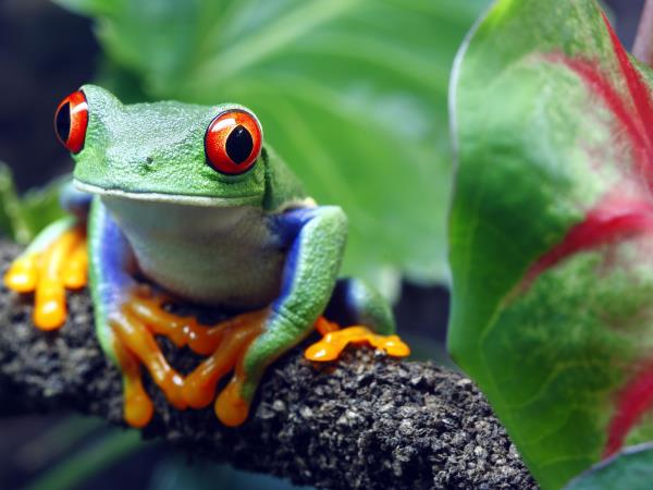 Costa Rica to Panama small ship cruise