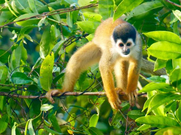 Costa Rica family adventure