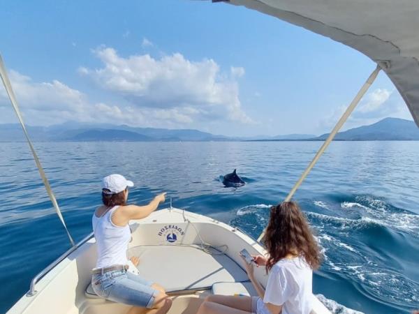 Seal conservation holiday in Greece