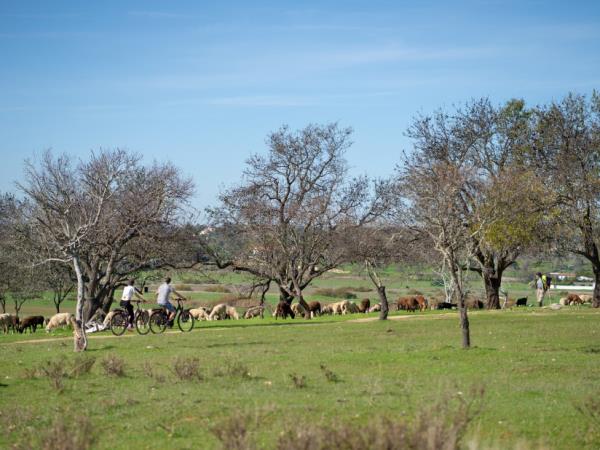 Algarve coastal cycling holiday