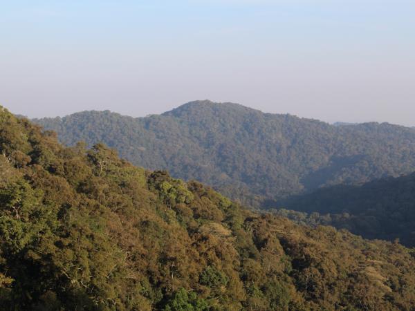 8 day wildlife tour of Uganda