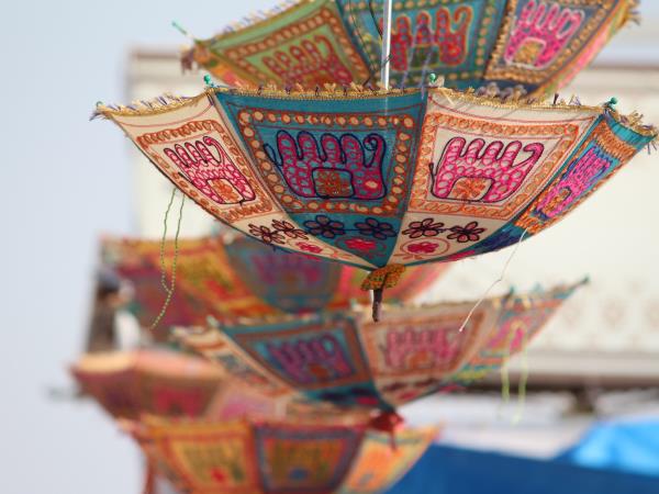Gujarat 14 day tour in India