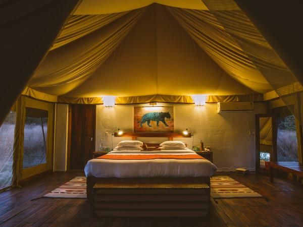 India tiger safari holiday, Satpura & Pench