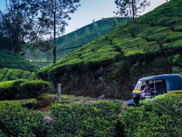 Family small group holiday in India