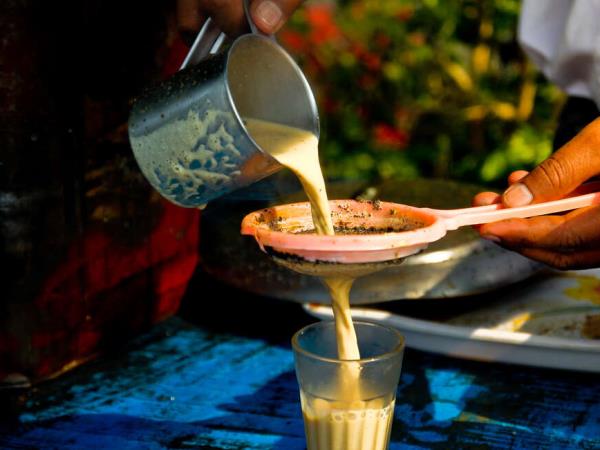Family small group holiday in India